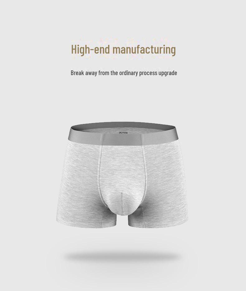 Nahtlose Herren Antibakterielle Atmungsaktive Seiden Boxer Briefs - Hochelastisch, Bequeme Passform, Große Größe