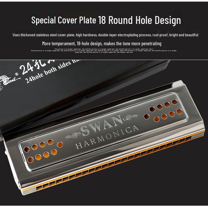Swan 24-Hole Dual-Key Double-Sided Diatonic Harmonica for Beginners