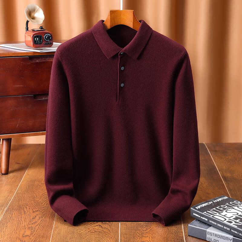 Antonio Men's Merino Wool Polo Sweater