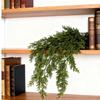Artificial Norfolk Pine Wall Hanging Maintenance Release Indoor Decors User Friendly Plastic Foliages Christmas Holiday Decoration