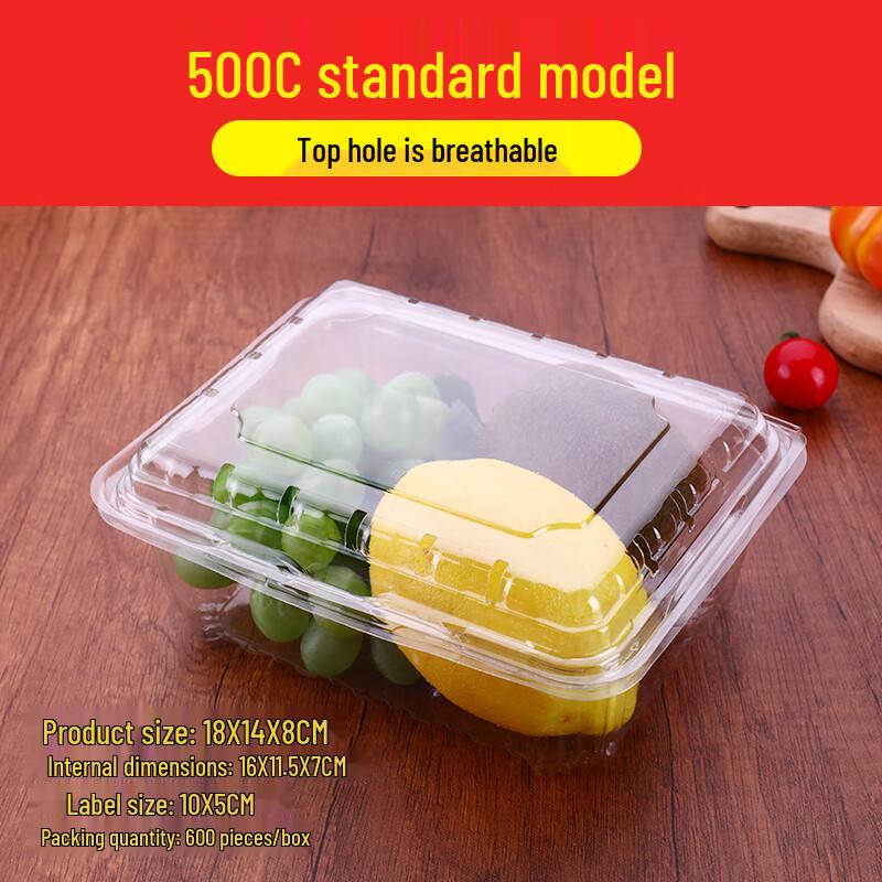 Shixun Disposable Transparent Fruit Containers with Lids (100-Pack)