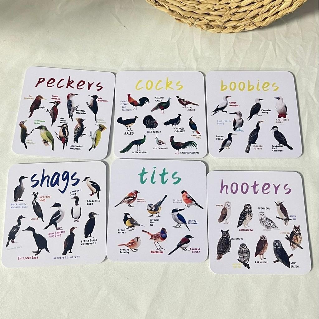 American Style Bird Pun Coasters Set Of 6 Durable Wooden Coasters Unique Home Decor
