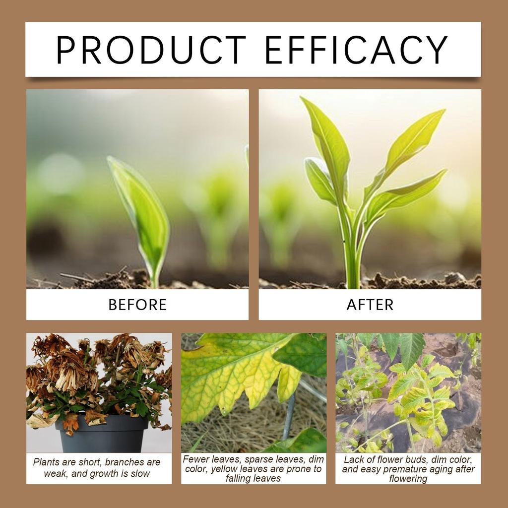 Mehrnährstoff-Bodenwachstumspulver Allzweck Fördern Und Sämlinge Verbessern Bodenqualität Hausgartenarbeit Und Gemüse Topfpflanzen