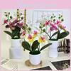 Butterfly Orchid Faux Flower Arrangement With Plastic Material For Wedding And Living Room Decor