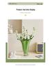Elegante Dopamin-Farbe Blumenvase: Ins-Stil, leicht zu kombinieren für die Wohnzimmergestaltung