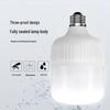 Gongyue Super Bright LED Screw-in Bulb