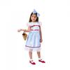 Blues Group Girls Dorothy Costume Set