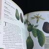 [USED] Tropical Fruits Encyclopedia Indonesia Fruits Illustrations Foreign Books English