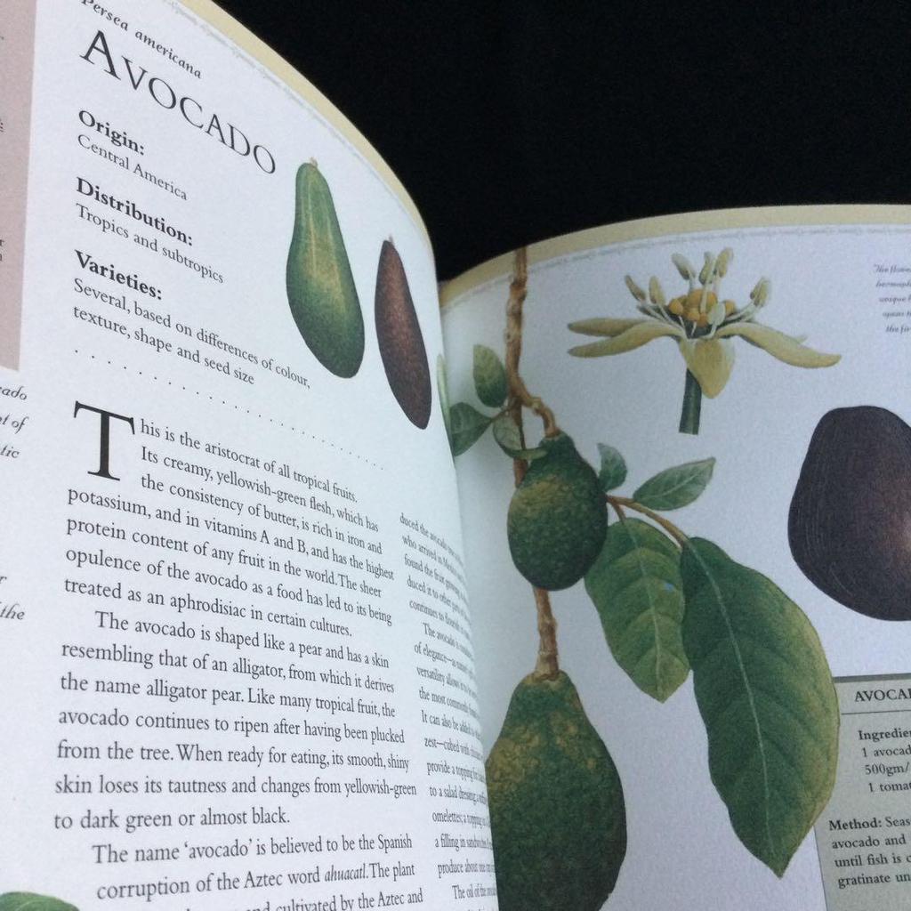 [USED] Tropical Fruits Encyclopedia Indonesia Fruits Illustrations Foreign Books English