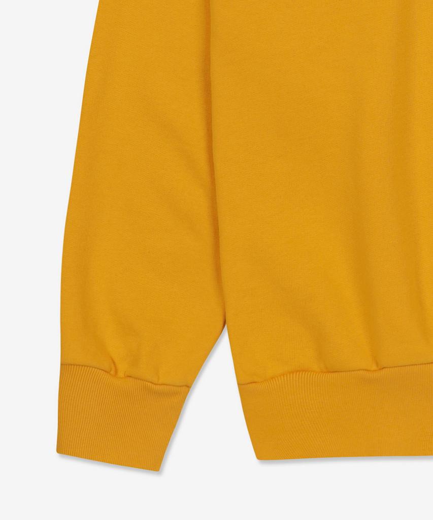 ARIES Credit Card Sweatshirt - Mustard / Star20004Mstrd
