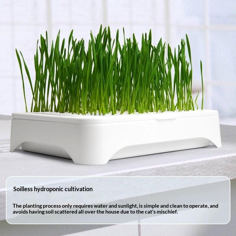 Pet Cat Grass Planting Basin Soilless Culture Wheat Seedling Pot Kitten Grass Hydroponic Device Horticultural Planting Pot 1 Piece