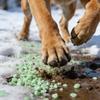 Pet-Safe Ice Melt (100g) - Safer Than For Driveways, Sidewalks, Roofs & Outdoor Stairs | Effective Winter Snow/Ice Removal | Gentle
