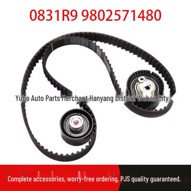 

Peugeot Citroen 307/301 1.6 Timing Belt Kit 0831R9 9802571480 Standard