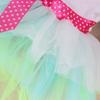Spring and Summer New Teddy Puppy Pomeranian Puppy Dog Clothes Cat Pet Clothes Lip Skirt
