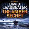The Amber Secret by David Leadbeater Paperback Book 9781542017251