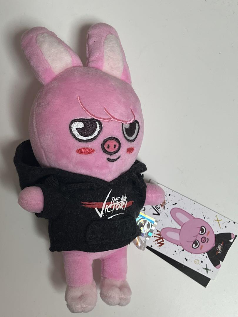 

[Б/У] Плюшевая игрушка skzoo Stray Kids Tuecki