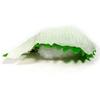 Stomach Will Rumble Every Time You Look At Engawa Food Sample Keychain Cute Funny Souvenir Gift 259OK [Coconut Accessories] Your It (flounder Fin)
