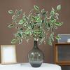 Simulierte Grüne Pflanzen Ficus Cordata Ast Künstliche Grünpflanzen Pflegeleicht Realistische Seidenblätter Haus Garten Event Dekoration