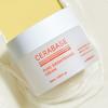 Daiso By Real Barrier Cerabase Pure Brightening Cream 50 Ml