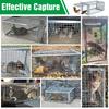 Mouse Rat Trap Rats Traps Repeller Mice Mousetrap Killer Big Rodent Animal Pest Control Products Garden Supplies Home