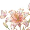 4 svazky umělých květů Phalaenopsis Real Touch Velké falešné orchideje Květiny Stonek do vázy Domácí Svatba Večírek Dekorace
