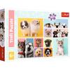 TREFL Puzzle 160 Pieces Dog Friendship