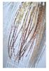 BG Design Christmas & New Year Glitter Sequin Floral Picks - Silver, Champagne, Brown