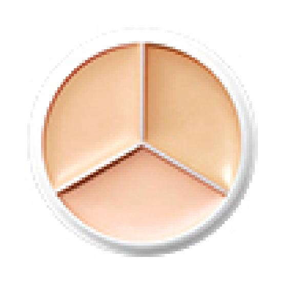 TFIT Cover Up Pro Concealer 7 Colors (Single Product/Planned)