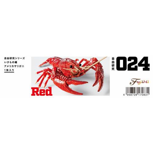 Free Research Series No. 24 Living Creatures Edition American Crayfish (Red) Plastic Model