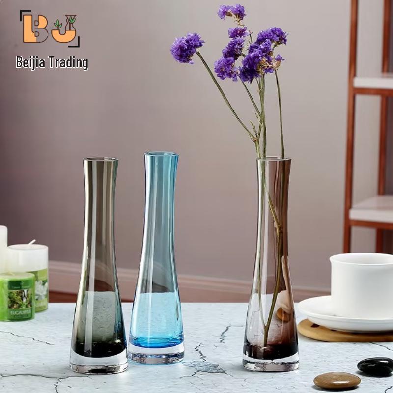Elegant Glass Vase for Desktop Flower Arrangements - Creative Home Decor Ornament