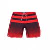 Pantaloni Elastici cu Uscare Rapidă pentru Bărbați, Pantaloni de Plajă pentru Surf, Pantaloni Scurți de Fitness cu Imprimeu cu Dungă Orizontală
