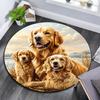 Golden Retriever Round Area Rug,Carpet Rug for Living Room Bedroom Sofa Playroom Decor,Non-slip Floor Mat