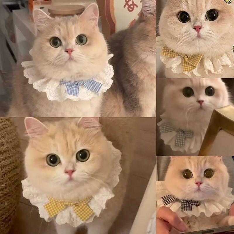 Cotton Lace Cat Bib With Bow Decorative Neck Scarf Small Pets Accessory