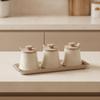 3 Pieces Ceramic Seasoning Jar with Lid Countertop Condiment Organizer Tray