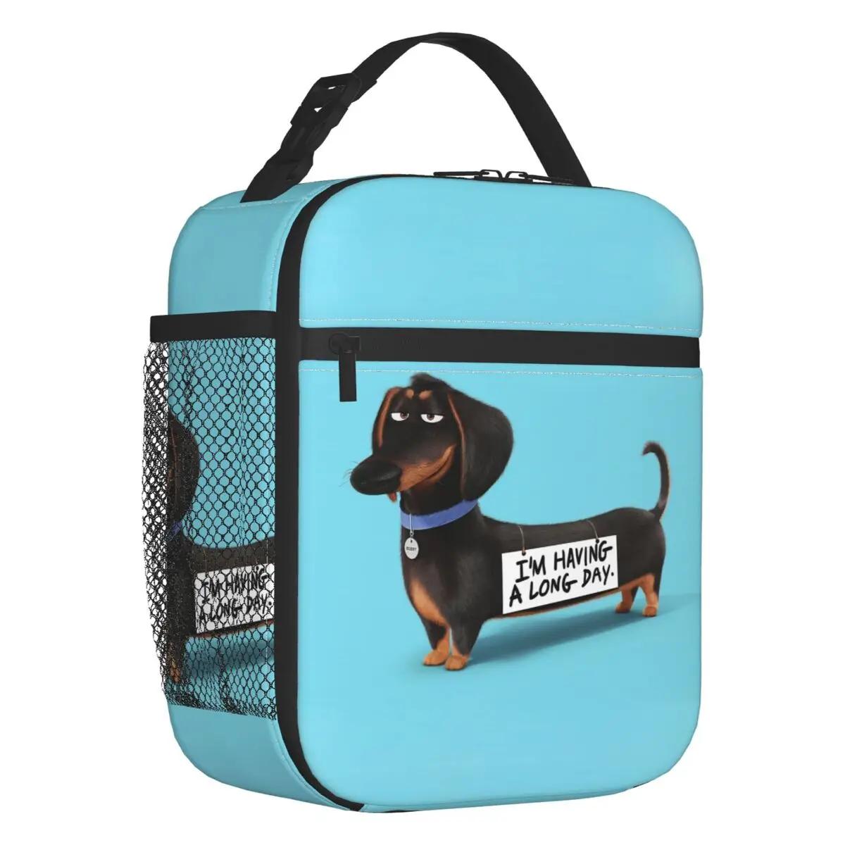 

Длинношерстная такса с принтом сосиски и собаки, термоизолированные сумки для обеда, переносной контейнер для обеда для домашних животных, школьная коробка для хранения еды 26x21x11CM лавандовый