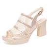 Middle-Aged Women's Sandals Summer Mesh High Heels Temperament Waterproof Platform One-Piece Fish Mouth Comfortable Elegant