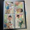 [USED] SEVENTEEN Face the sun Hoshi carat ver.