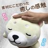 Traveling Mameshiba Body Body Soft and Cute Dog Shiba Mameshiba Pillow, Cushion, Pillow, Fluffy, Figurine, Inu, (White, Mameko)