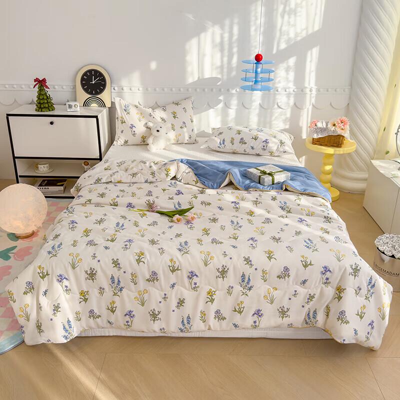 Yalu Antibacterial Double-Layer Lightweight Quilt