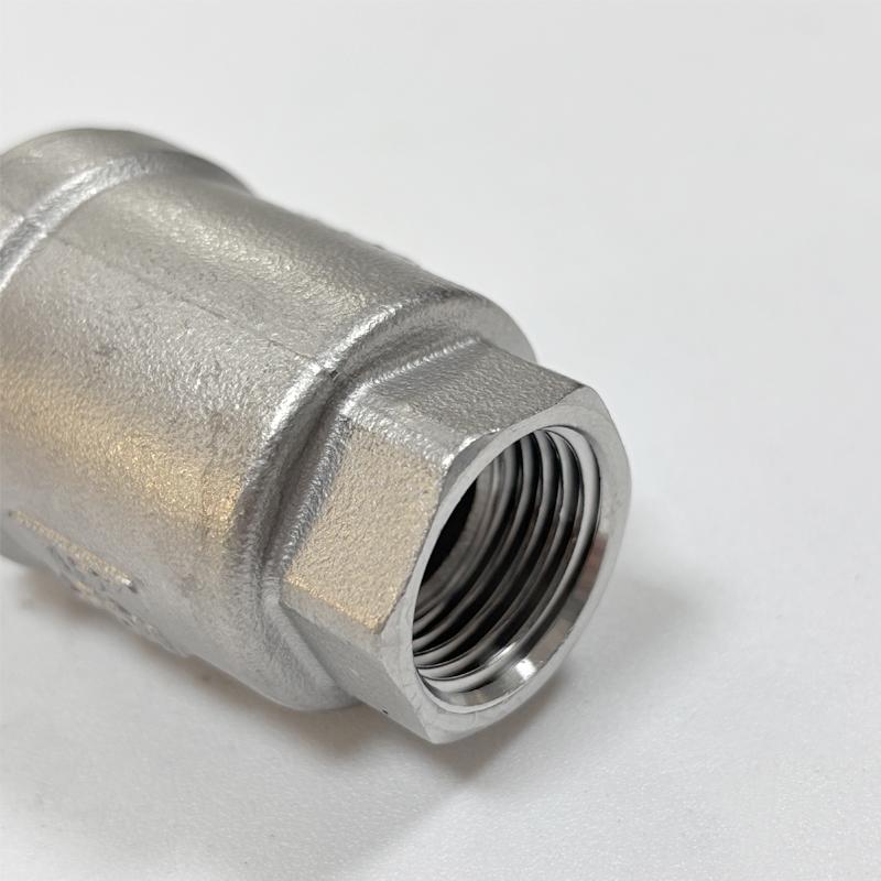 Vertical Spring Check Valve 304 Stainless Steel DN15/20 One-way No Return Horizontal Vertical Water Stop Valve for Wells, Pumps.