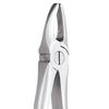 GDC Extraction Forceps Upper Anteriors - 1 Standard (FX1S)