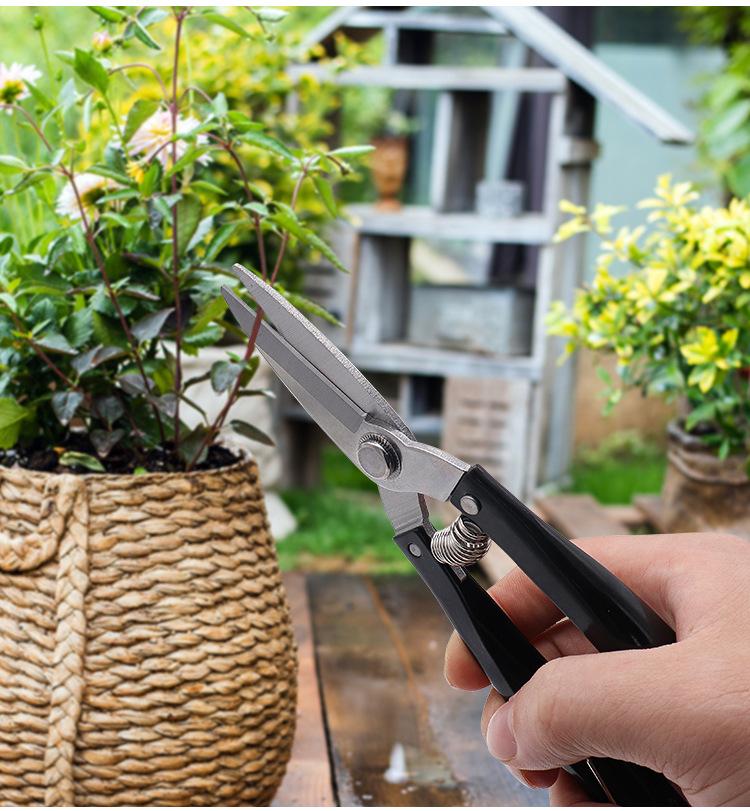 Straight Head Stainless Steel Household Gardening Flowers Branches Pruning Shear Fruit Picking Tools Garden Scissors with Spring