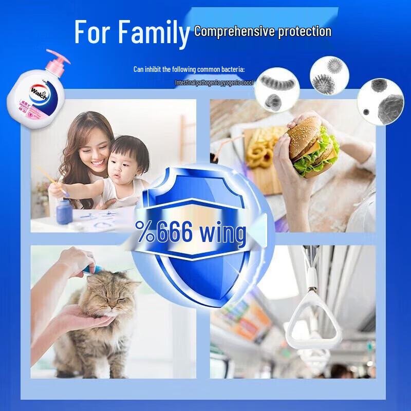 Walch Moisturizing Antibacterial Hand Soap