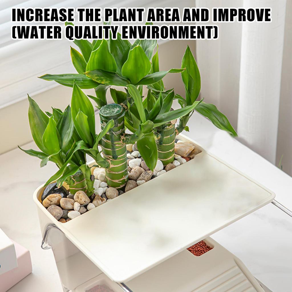 Turtle Tank Turtle Cage Clear Area Habitat with Basking Stage for Crayfish Crabs Gecko Amphibians Fishes Small Pets Enclosure