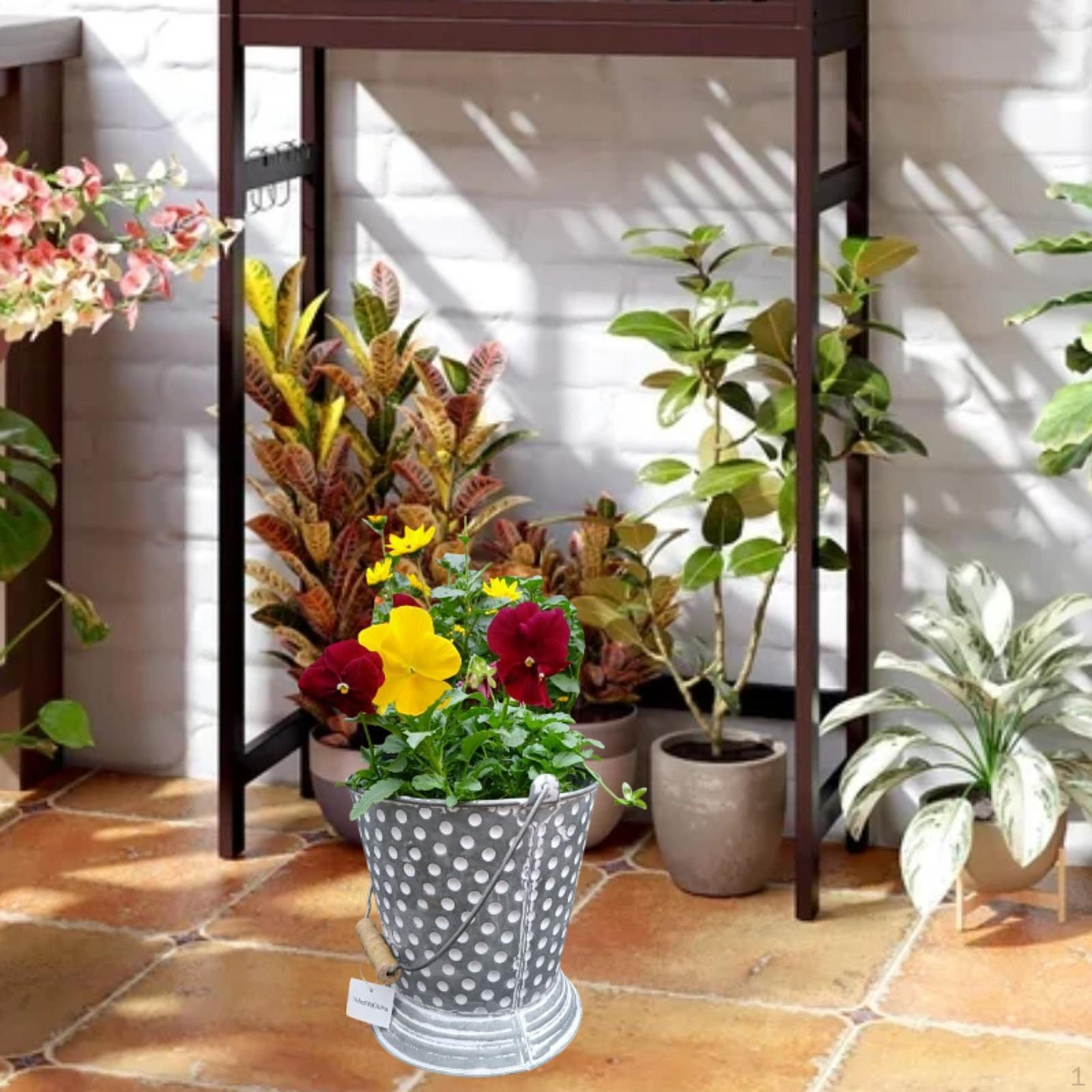 

Ведро с точками для дизайна растений в саду Small