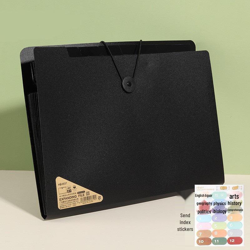 Student Exam Paper Organizer Accordion Bag