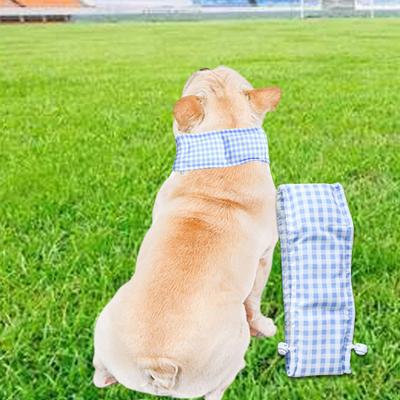 Kühlendes Bandana Kostüm für Hunde, Haustierschal, Sommerhalsband Angeln, Camping, Innenbereich