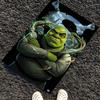 Shrek Printed Carpet, Rug for Office Chair Living Room Bedroom Kitchen Room Decor Gifts.