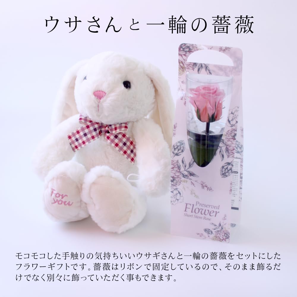 Flor preservada Flor preservada con estuche transparente L Conejo y una sola rosa Flor preservada Rosa Presente Celebración Aniversario Cumpleaños