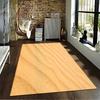 Desert Sand Texture Carpet Suitable As a Non-slip Mat for the Living Room or Bedroom Sofa